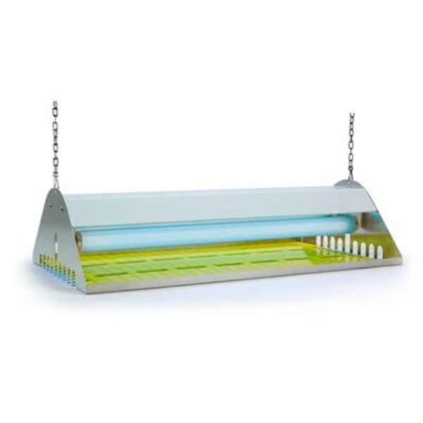 Insectocaçadores Profissionais