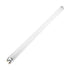Tubo Lâmpada UV-A Anti Estilhaço para Insectoçacador 15W T8 - 45 cm