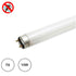 Tubo Lâmpada UV-A Anti Estilhaço para Insectoçacador 15W T8 - 45 cm